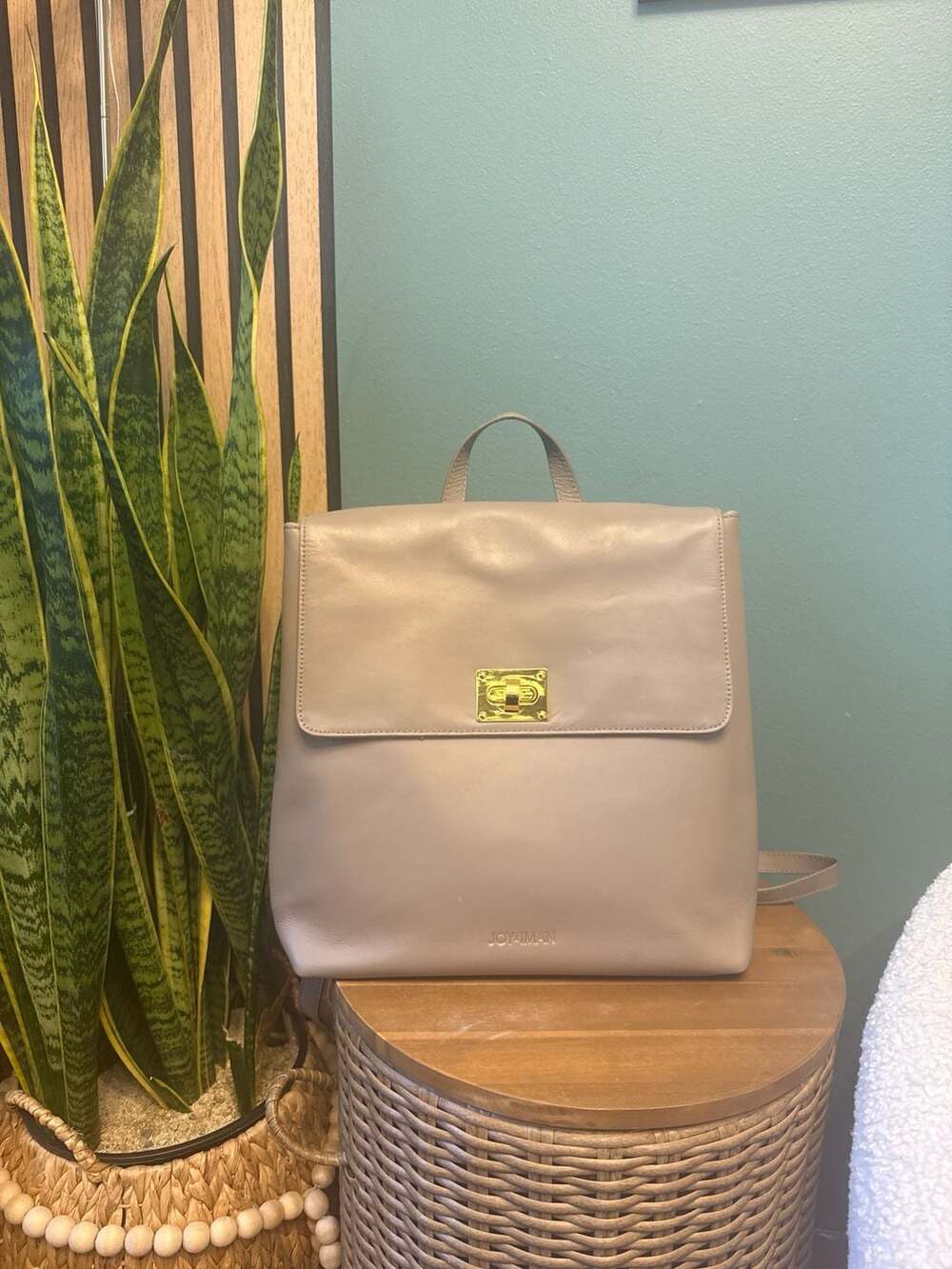 Joy & Iman Tassel Chic Leather Backpack with RFID Protection in Taupe Gray